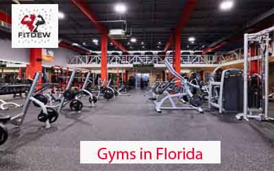 11 Best Gyms in Florida - Fitdew