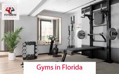 11 Best Gyms in Florida - Fitdew