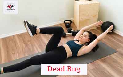 12 Gym Exercises for Core Strength and Stability - Fitdew INITIATIVE