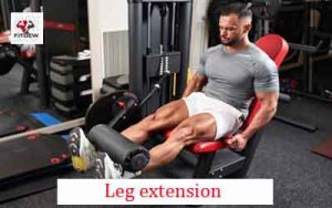 Leg extension 