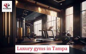 Luxury gyms in Tampa
