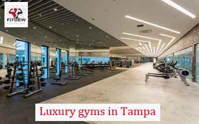 Luxury gyms in Tampa