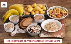 The Importance of Proper Nutrition for Gym Goers