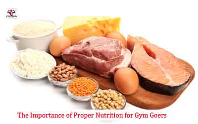 The Importance of Proper Nutrition for Gym Goers