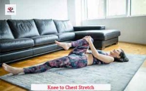 Knee to Chest Stretch