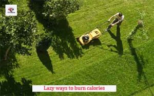 Lazy ways to burn calories