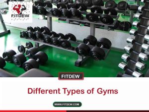 Different Types of Gyms