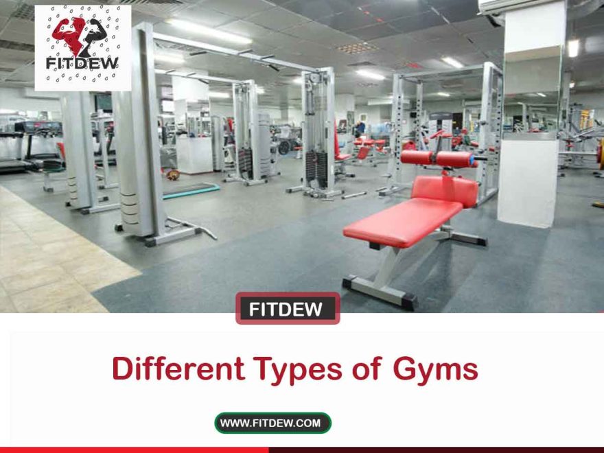 Different Types of Gyms
