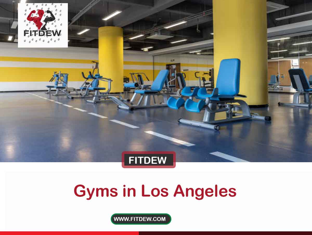 19 Best Gyms in Los Angeles - Fitdew